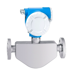 Mass Meter